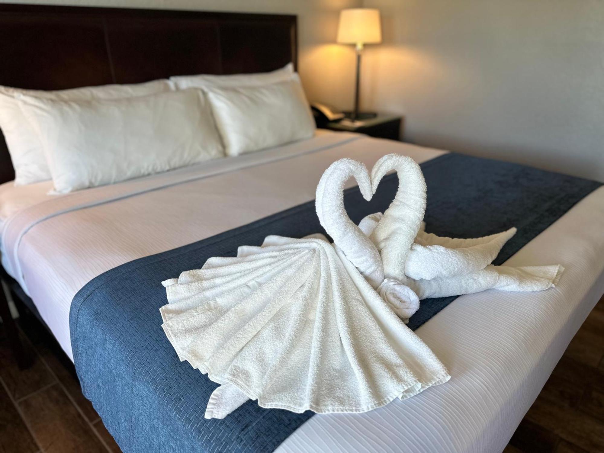 Lantern Inn&Suites - Sarasota South Bradenton Bagian luar foto